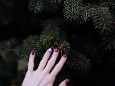 person touching green plant